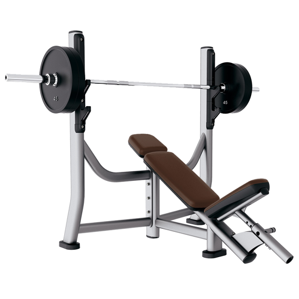 CYBEX OLYMPIC INCLINE BENCH - USED