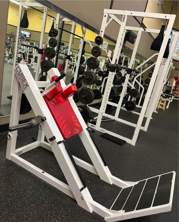 Cybex Hack Squat - Image 2