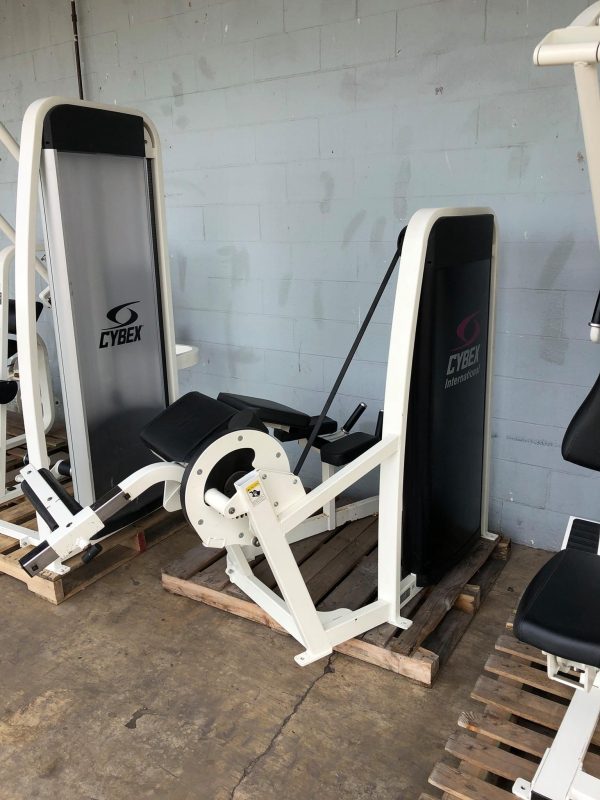 Cybex Eagle 8 Unit Strength Circuit - Image 14