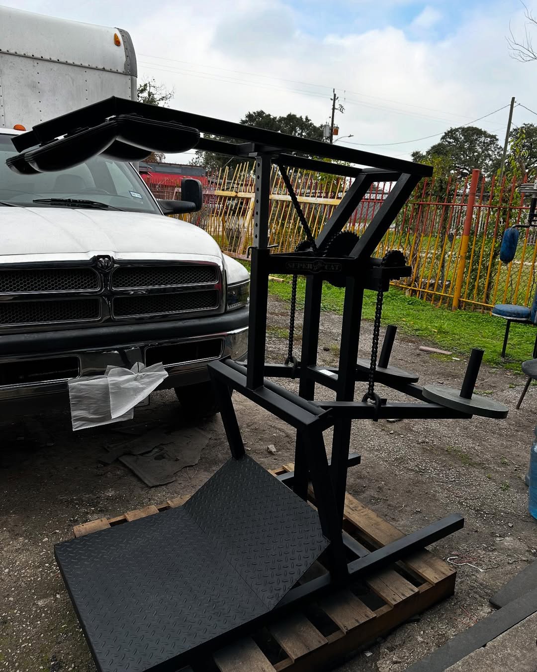 Powernetics Super Cat Squat