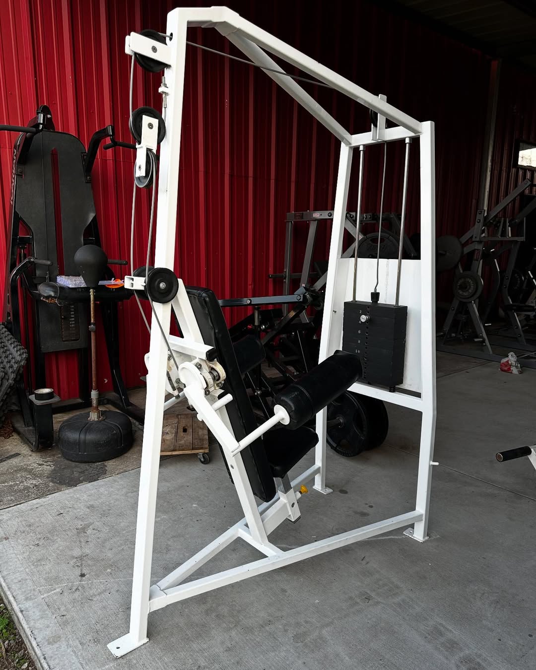 Cybex Classic Lateral Raise for Sale - Image 2