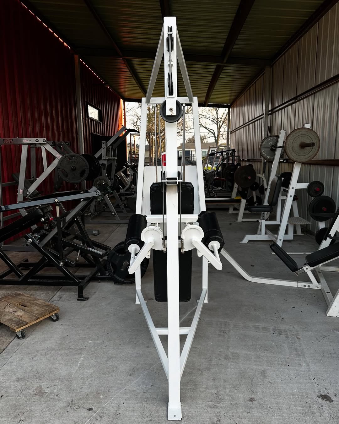 Cybex Classic Lateral Raise for Sale - Image 6