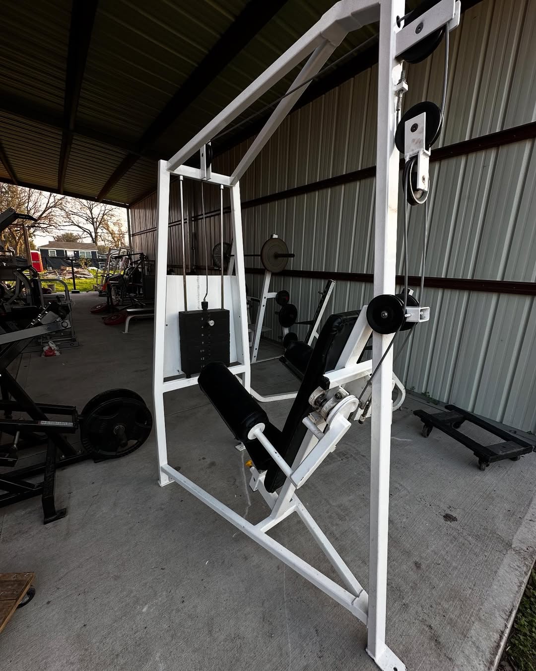 Cybex Classic Lateral Raise for Sale