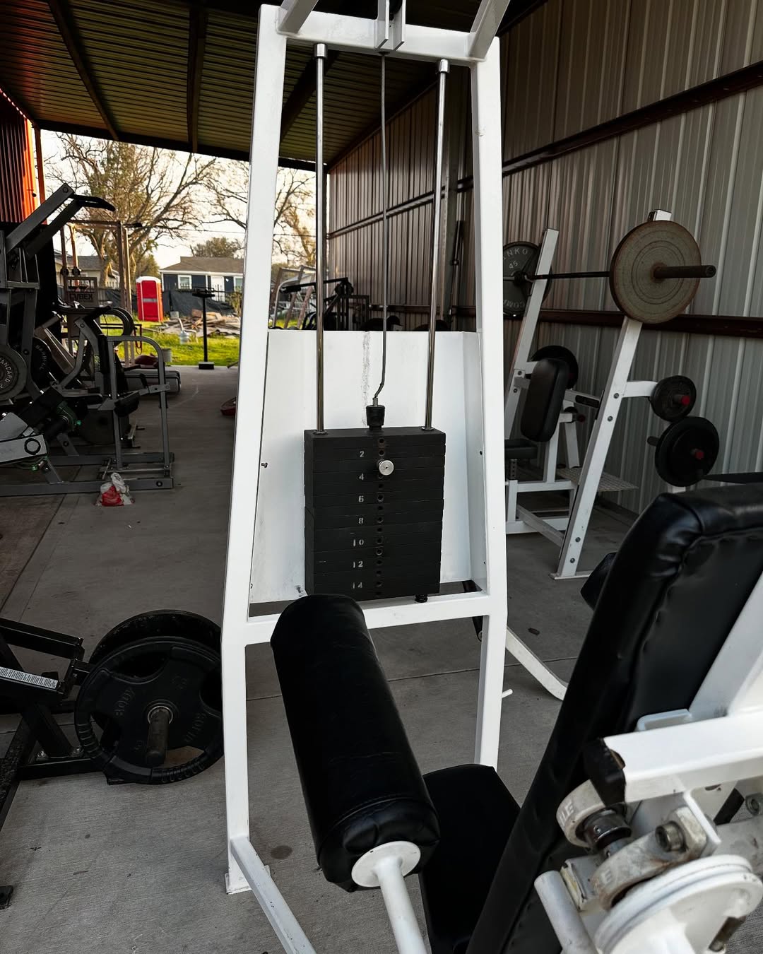 Cybex Classic Lateral Raise for Sale - Image 8