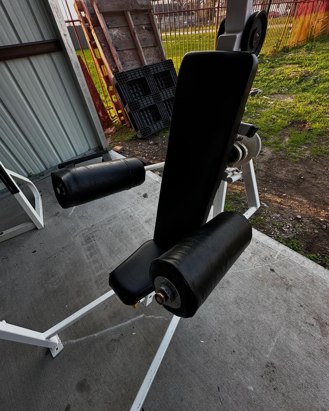 Cybex Classic Lateral Raise for Sale - Image 9